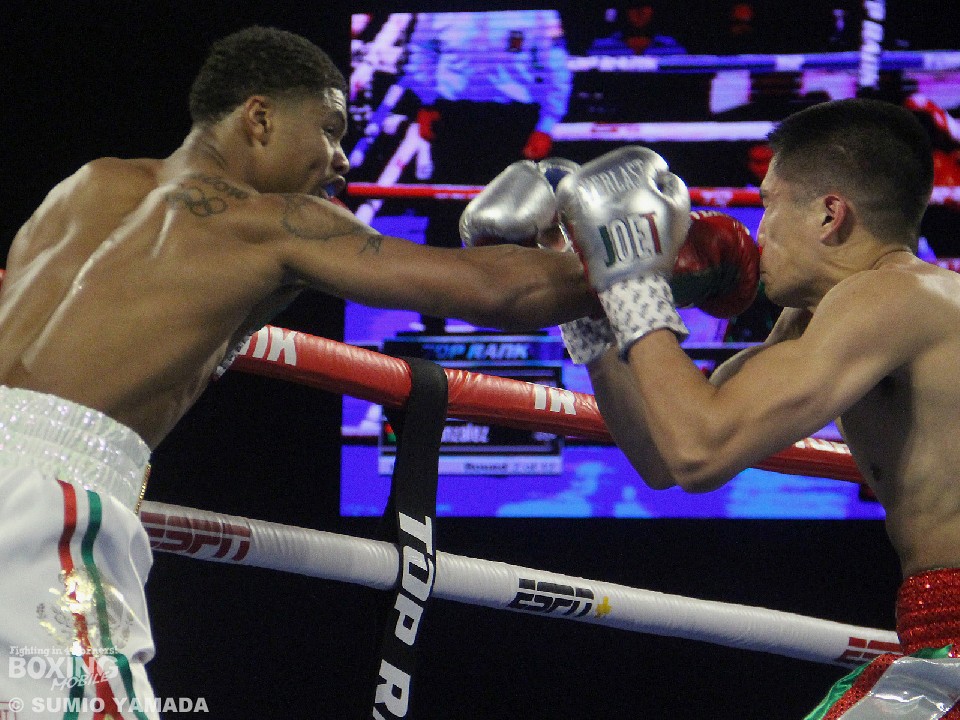 WBO�t�F�U�[�����������X�e�B�[�u���\��vs�S���U���X