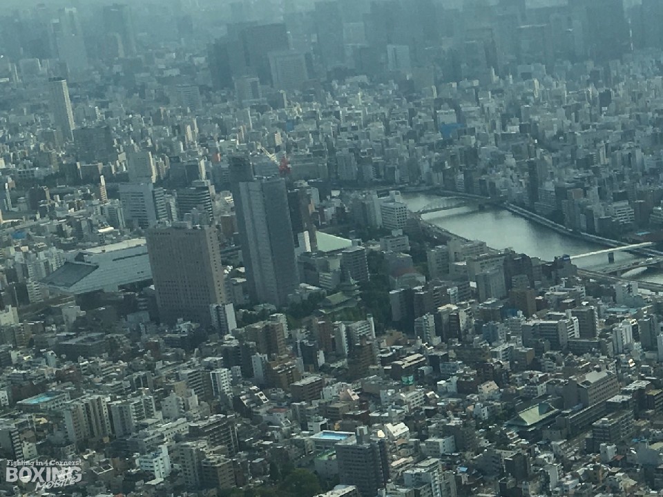 写真中央に両国国技館の屋根