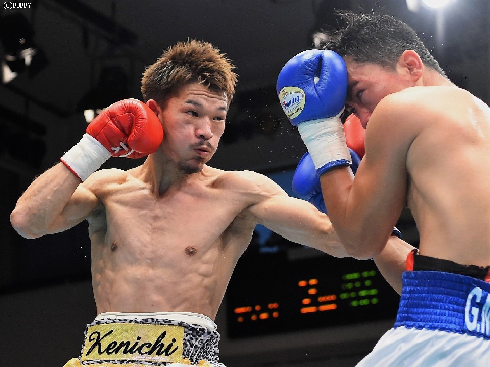 尾川がWBA6位にランク