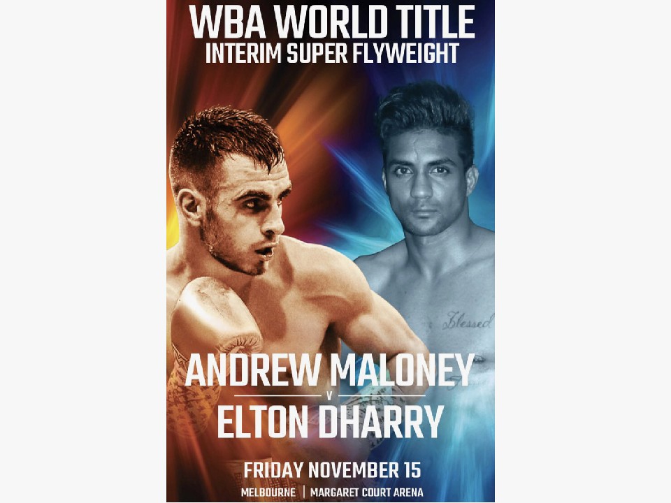 WBA���E�X�[�p�[�t���C���b�艤�������