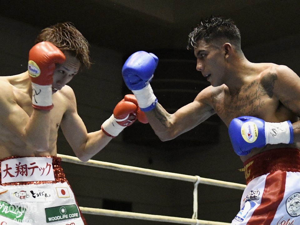 �Γc�ƃS���T���X�̌���