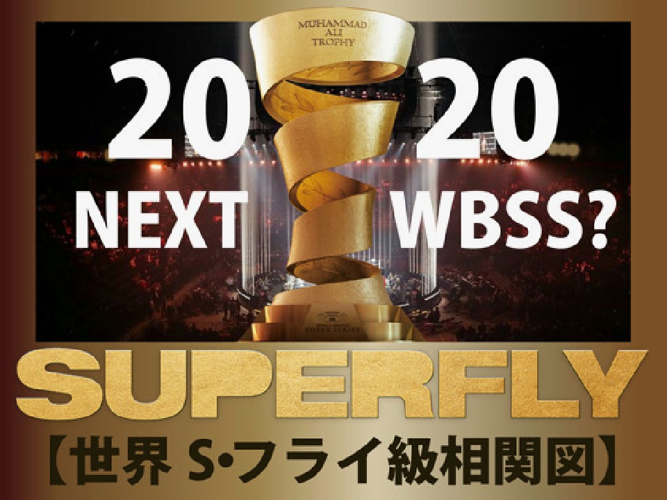 �X�[�p�[�t���C�����֐}