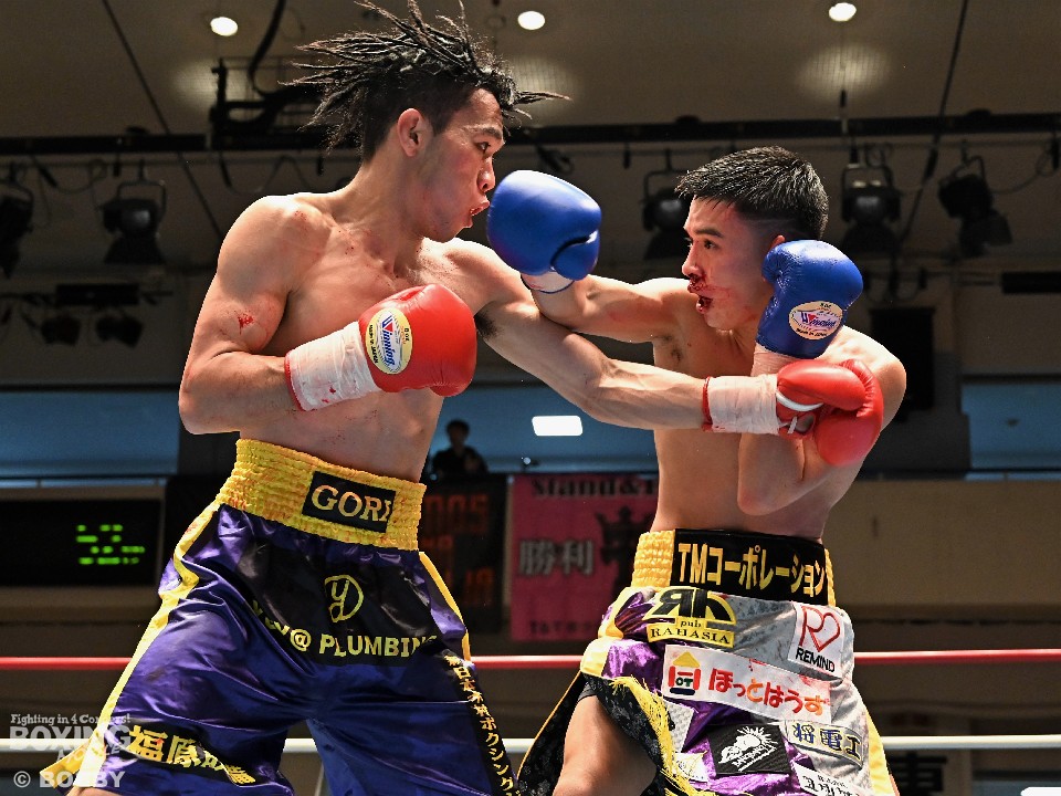 左:藤本 右:定常