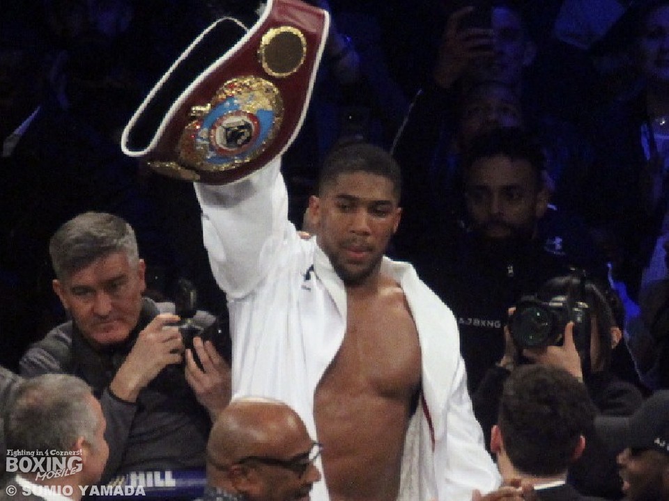 �A���\�j�[�E�W���V���A(�p��)