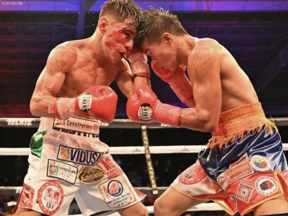 �M���IBF�~�j�}�����^�C�g���}�b�`