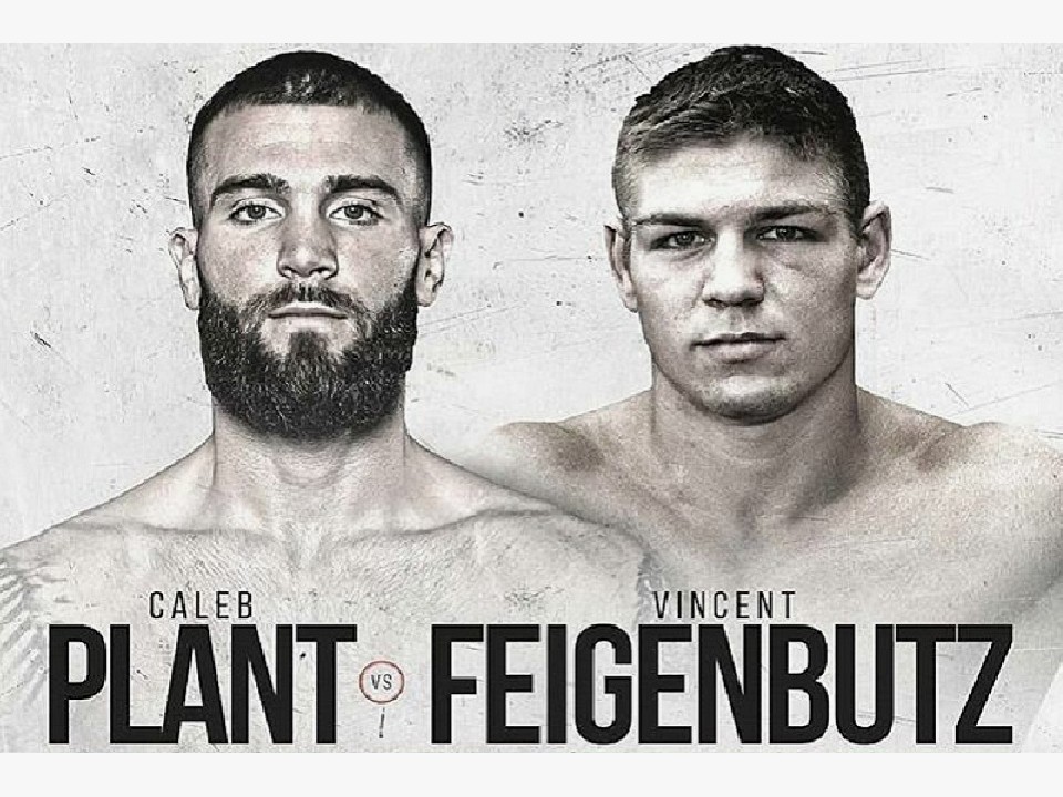 �v�����gvs�t�F�C�Q���u�b�c