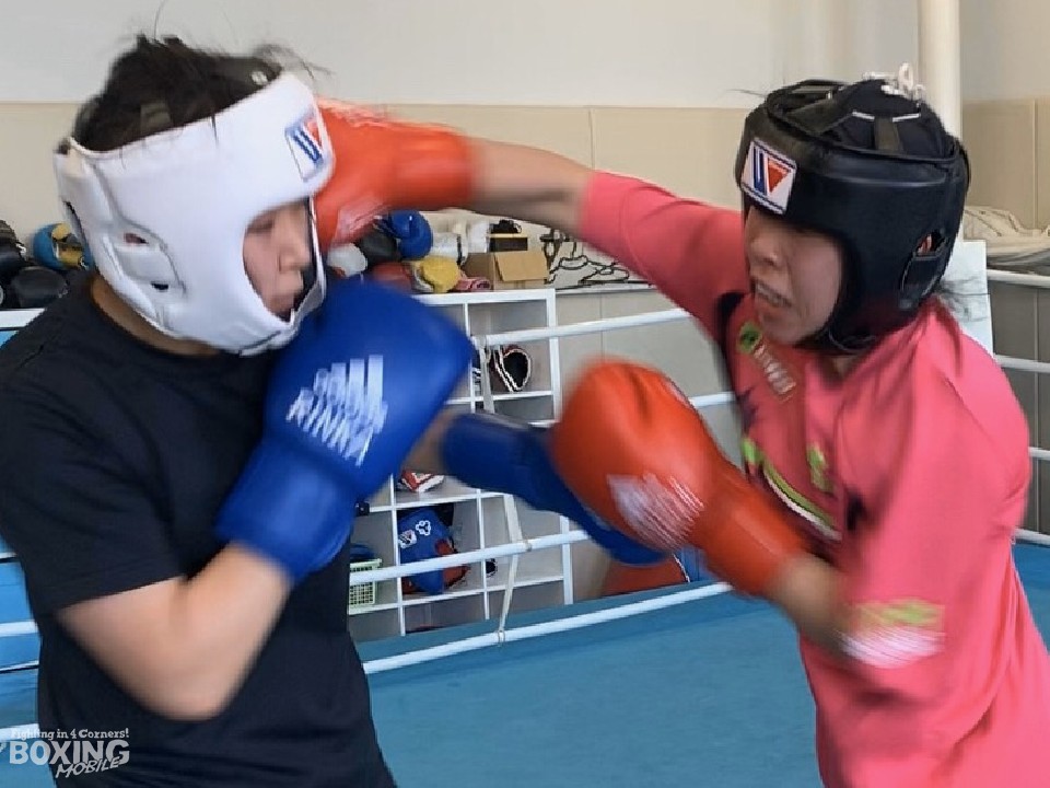 �_�{�і�(���{��w)�Ɠ��]����(���{�̈��)