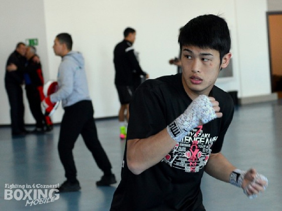 �v�����F�߂�ދH�Ȉ�ށB