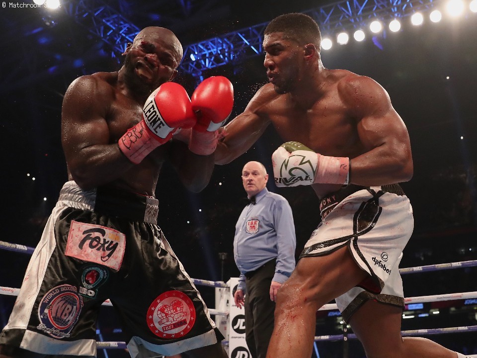 �W���V���A(�E)�����S�錾�҂�