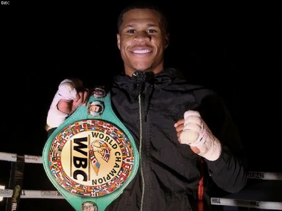 ���K����: �f�r���E�w�C�j�[(�č�)