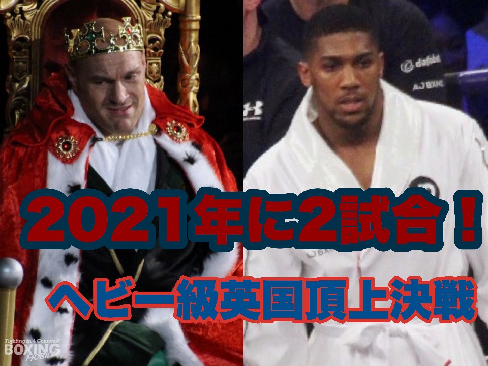 ���ڂ̃w�r�[���p���l���E���ґΌ�!