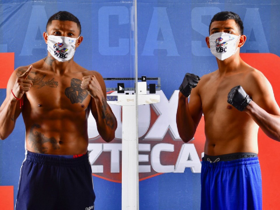 WBC�X�[�p�[�t�F�U�[�����҃x���`�F���g�o��