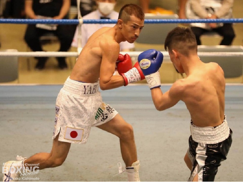 ���{���������͏Ռ��̌���