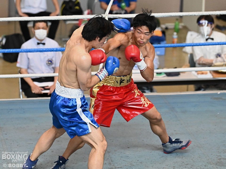 ���J�s���������z�[��