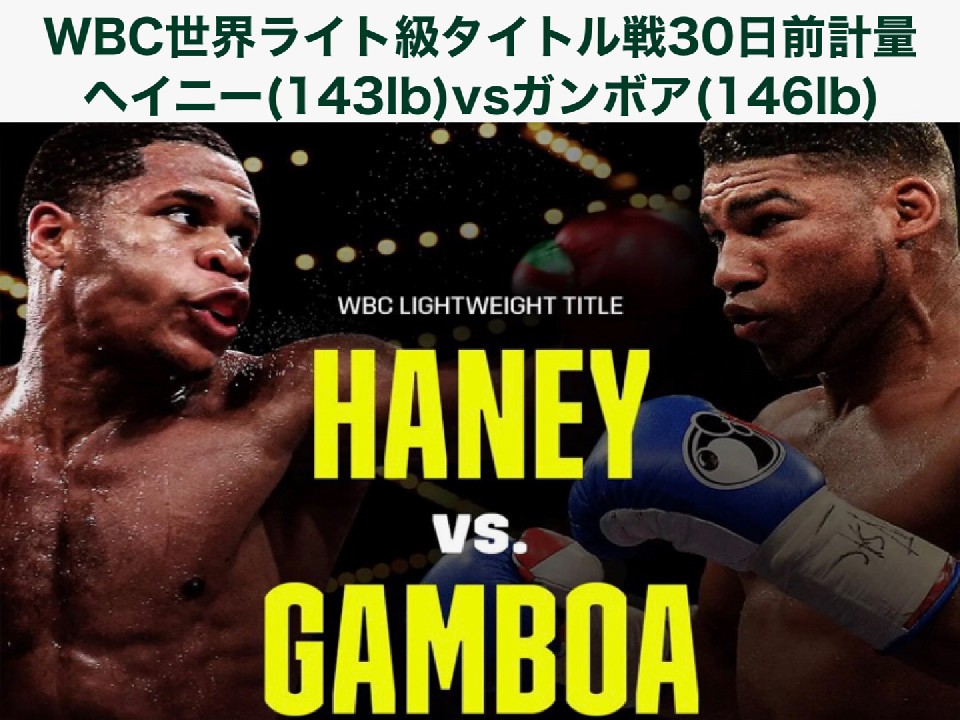 WBC���C�g�����E��̃w�C�j�[�ƃK���{�A�͏���!