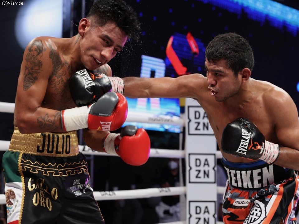 ���}�S���̏��h�q��