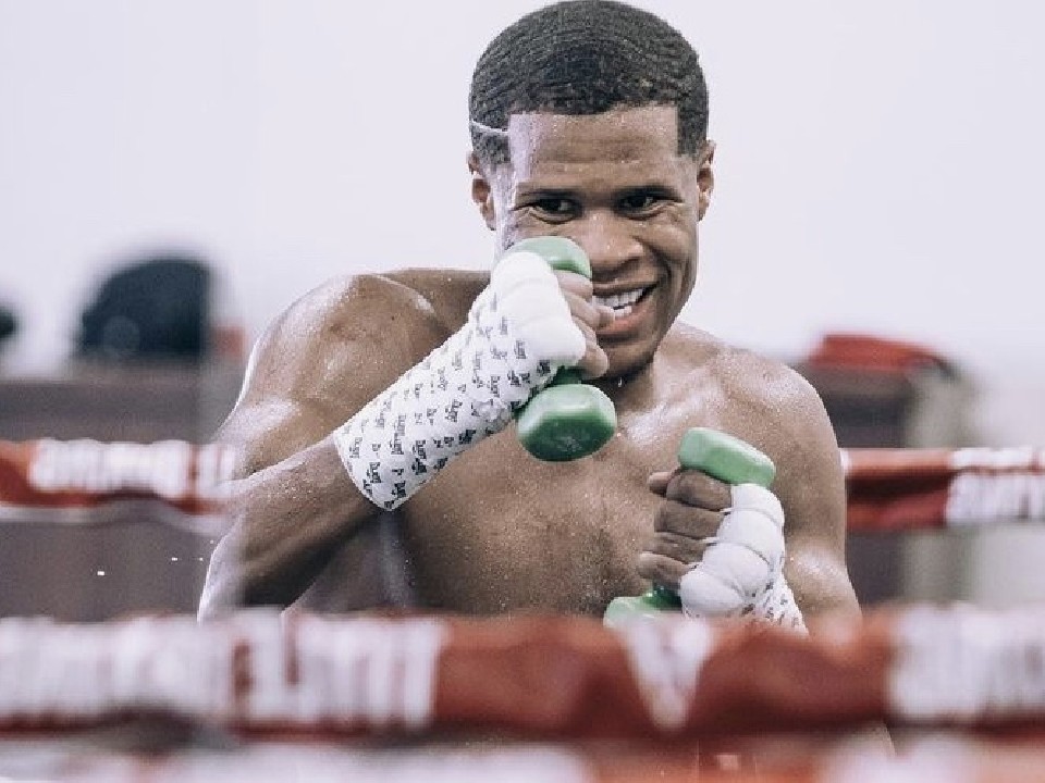 WBC���E���C�g������<br> �f�r���E�w�C�j�[(21=�č�)