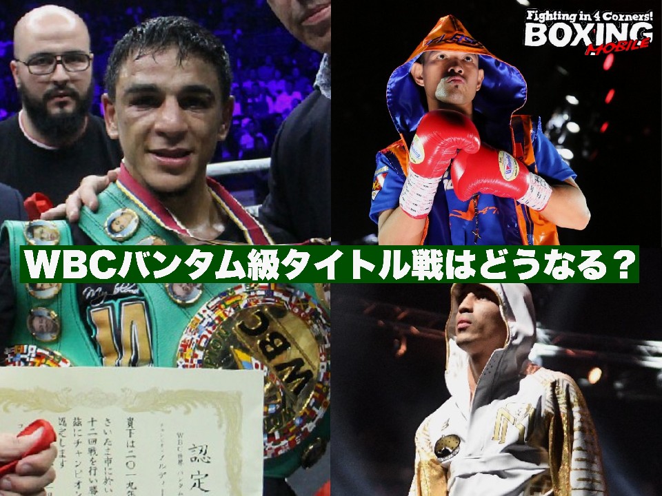 WBC���E�o���^������͂ǂ��Ȃ�?