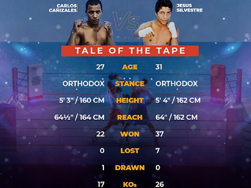 WBA���E���C�g�t���C���^�C�g���}�b�`