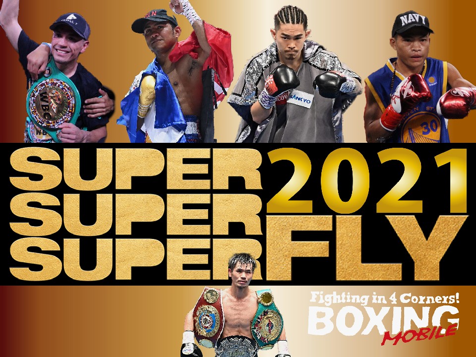 �X�[�p�[�t���C�����֐}