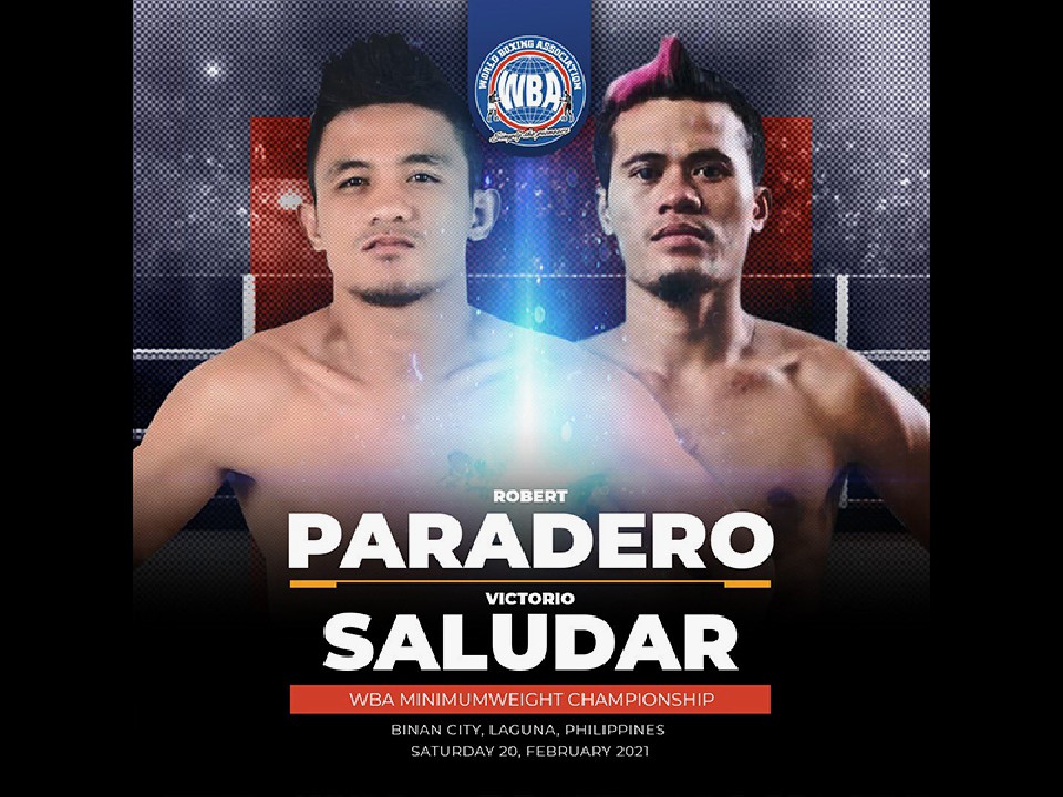 �T���_�[��vs�p���f��