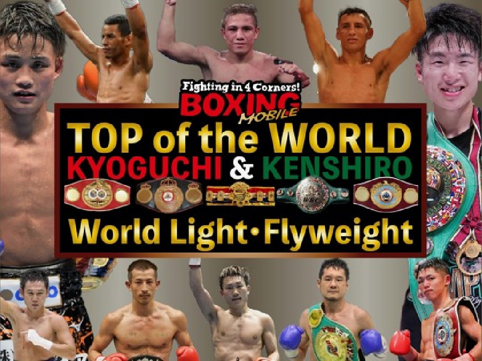 ���C�g�t���C�����֐}