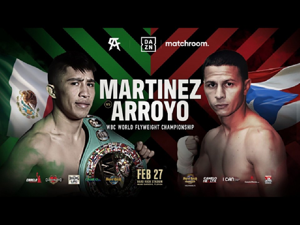 WBC���E�t���C���^�C�g���}�b�`