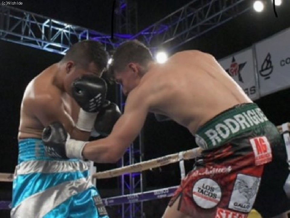 ��:�e�N�A�y�g���@�E:���h���Q�X