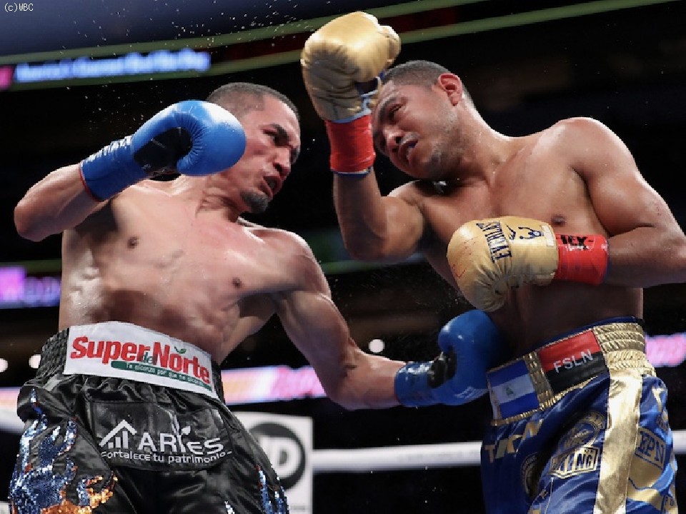 �G�X�g���[�_vs�`���R���e�B�[�g