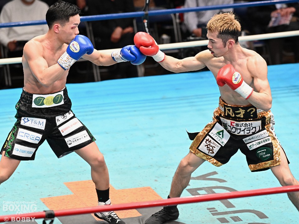 ������炪�����̐V�s�ƌ���