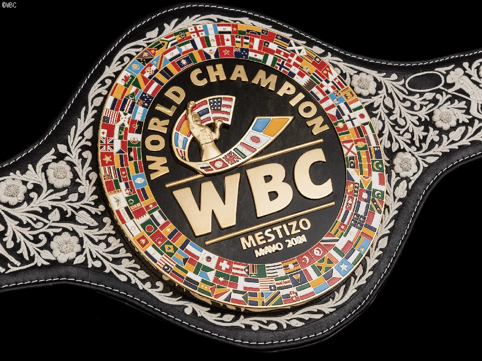 WBC�L�O�x���g