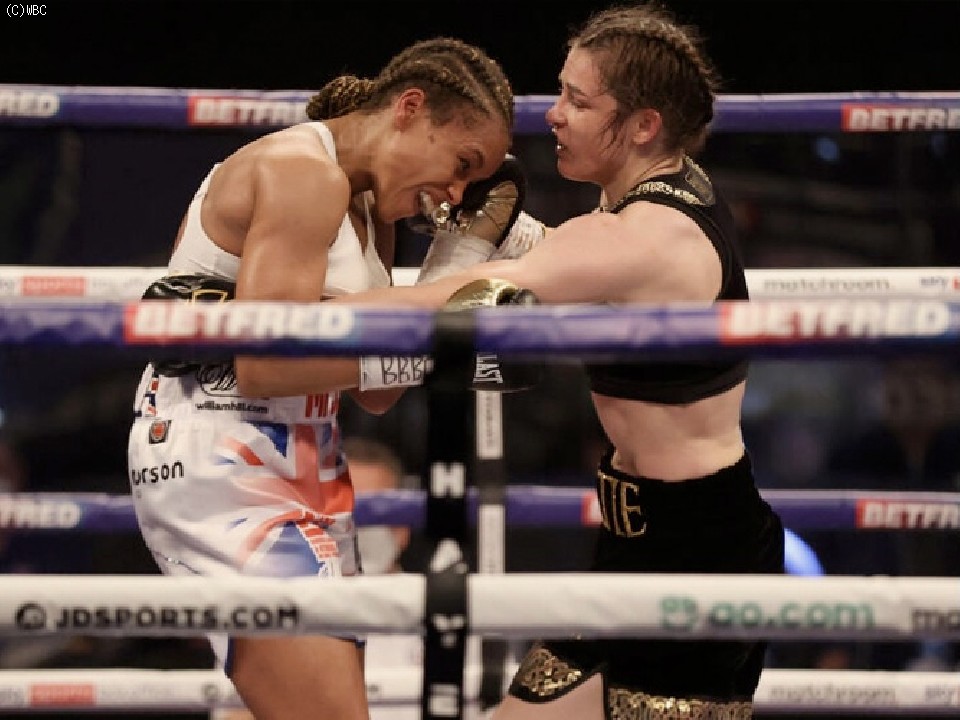 �P�C�e�B�E�e�C���[�͍����菟��