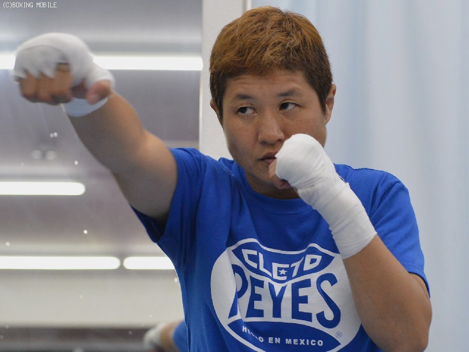 �����ޕ�q(T&H)