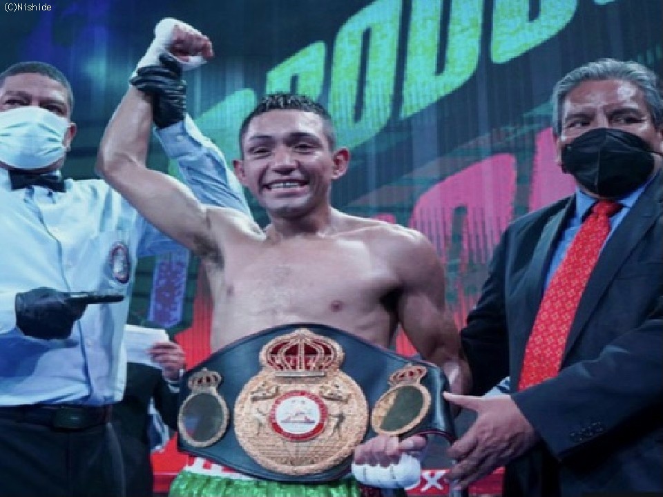 �G�X�e�o���E�x�����f�X