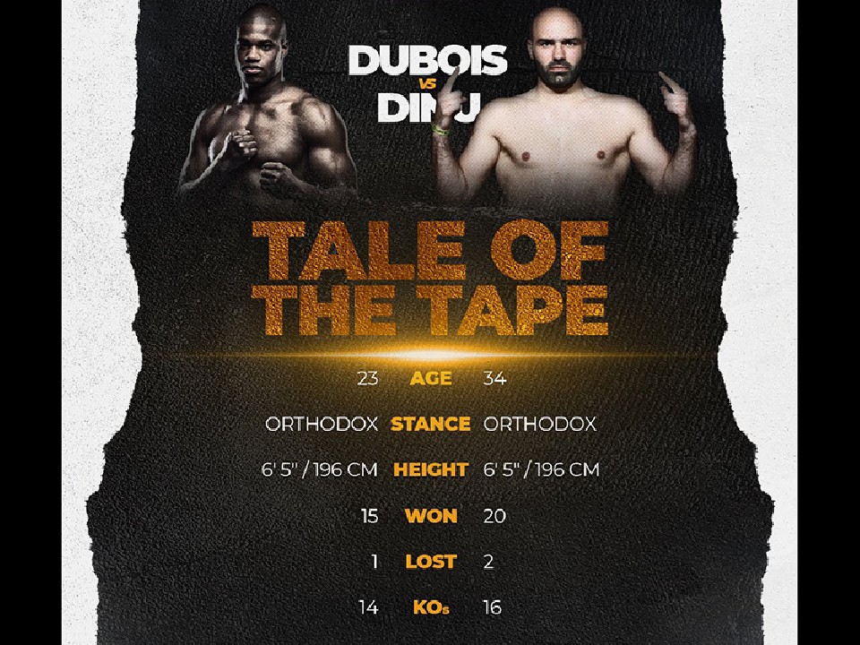 �f���{�A���ċN��WBA�b�艤�������