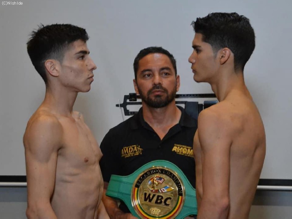 ��:�A���Z �E:�N�G�[�W��<br>����:�t�F���i���h�E�����e�B�G��