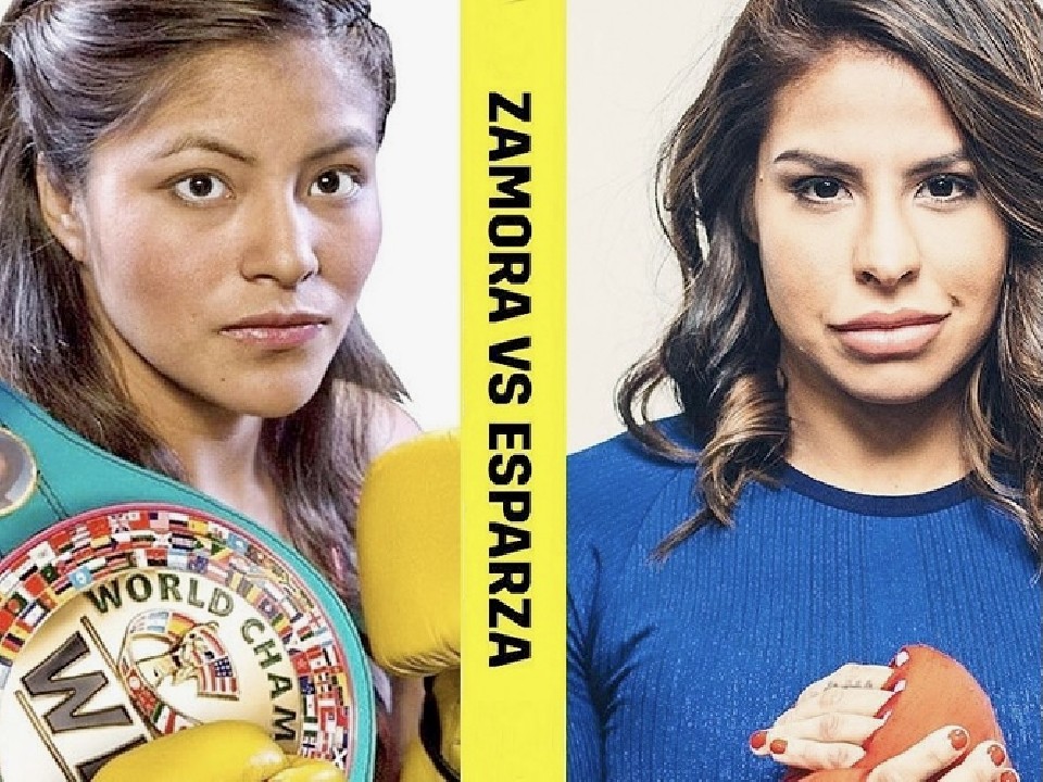 WBC���q���E�t���C���^�C�g����