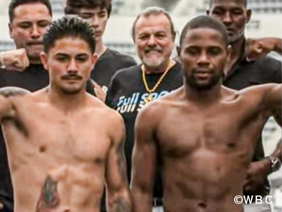 WBC���E���C�g���b�艤�������