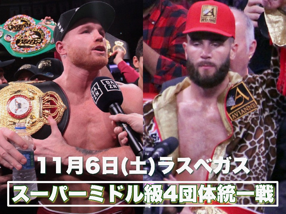 ��v4�c��(WBA/WBC/IBF/WBO)�����