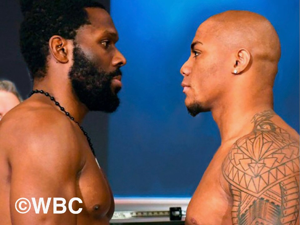 WBC���E�u���b�W���[�������������