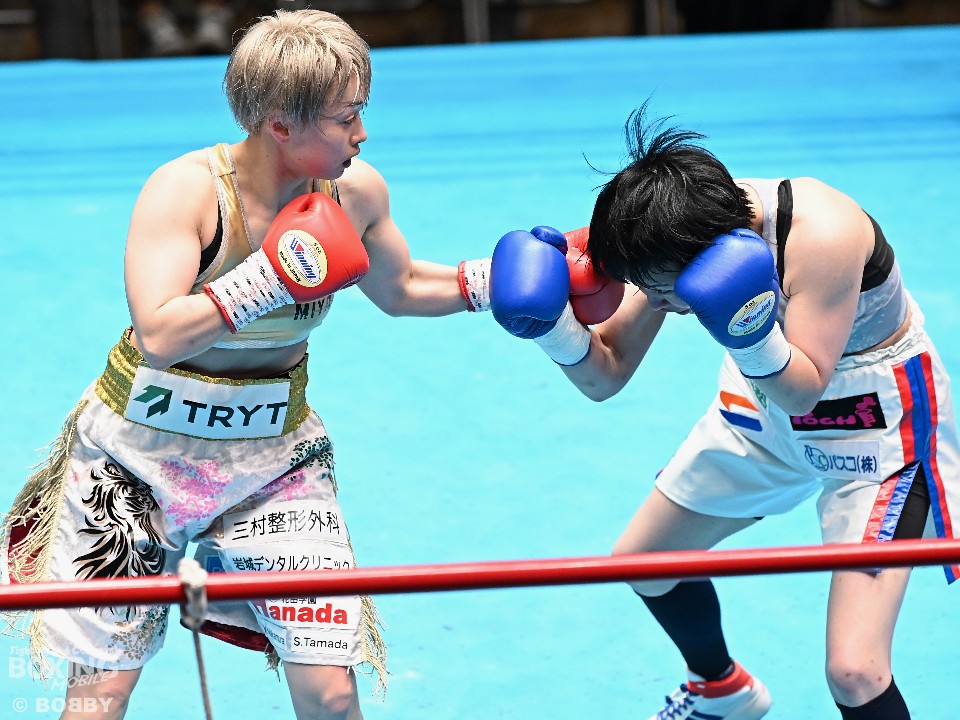 �{������vs���䍁�D