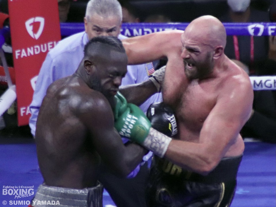 �w�r�[���t���[���[�ƃ��C���_�[���|������!