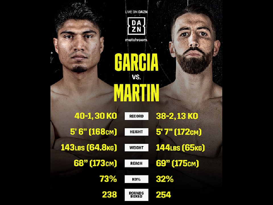 �}�C�L�[�E�K���V�A�̍ċN2��ڂő�g��