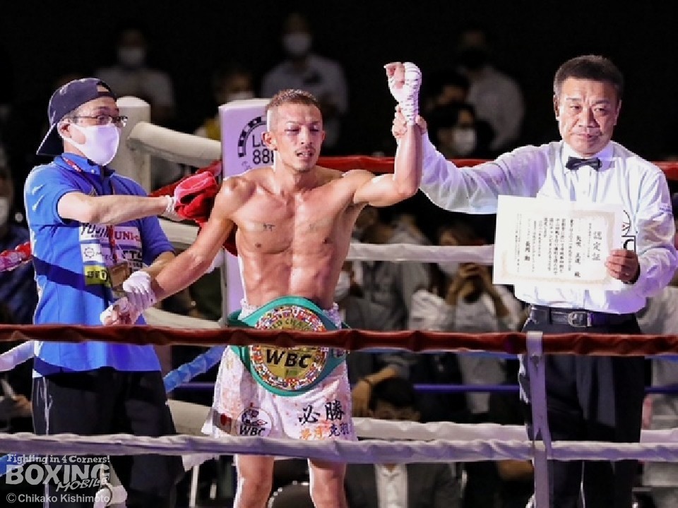 WBC�V�`�����s�I�������(��)