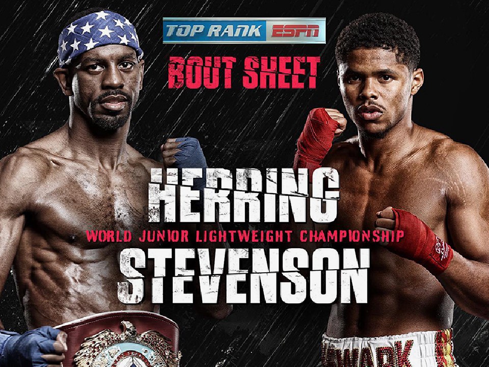 WBO���E�X�[�p�[�t�F�U�[�����������