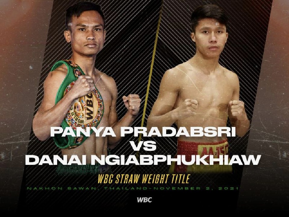 ���h�q��̓^�C�̐V�s������