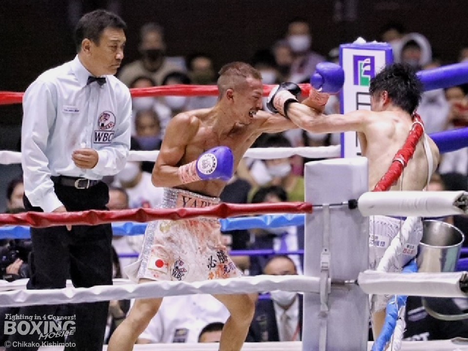 ������Ǝ��n���l�N! �Đ�ɍ���