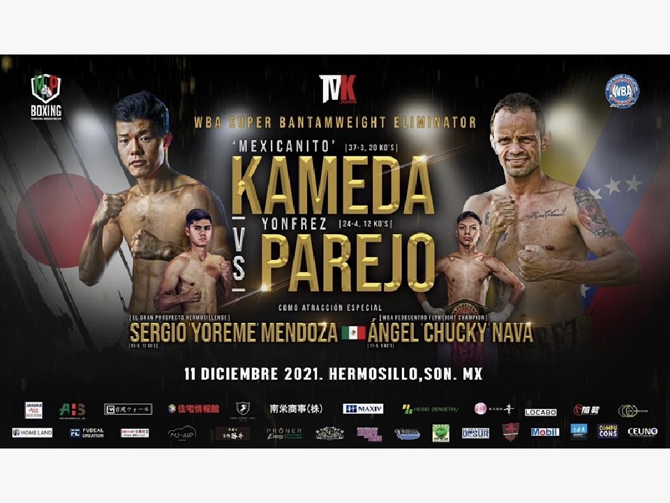 �T�c�a�B!���E����Ҍ����