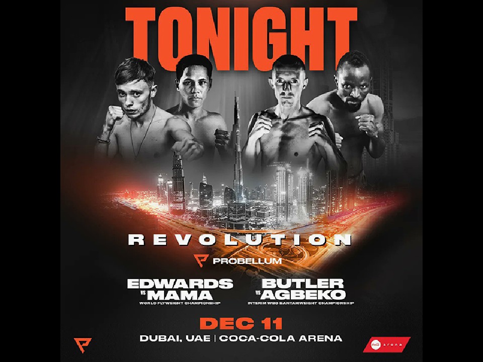 WBO�o���^�����b�艤������킪���~