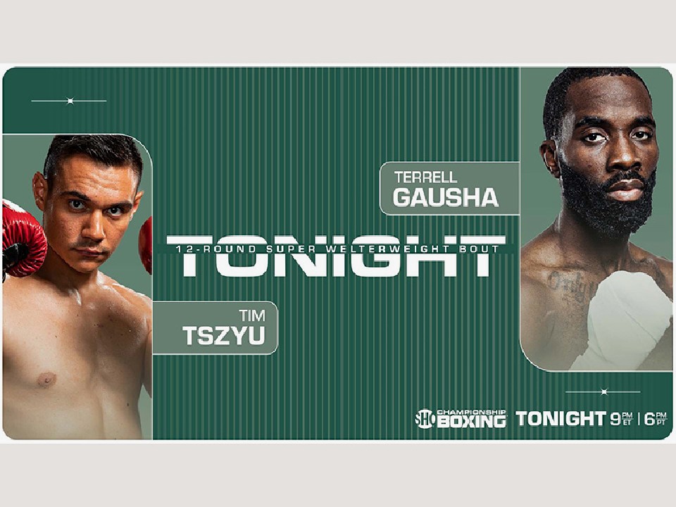 �`���[vs�K�E�V��